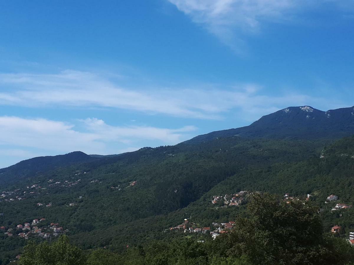 Apartment Korić Opatija Zewnętrze zdjęcie